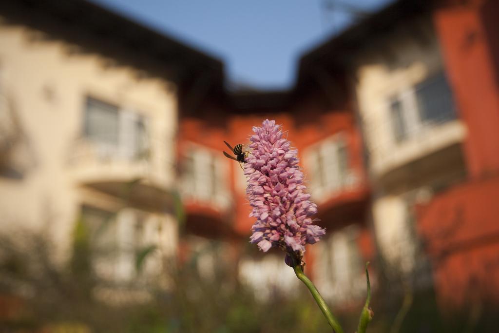 Szonyi Garden Hotel Pest Budapest Exterior photo